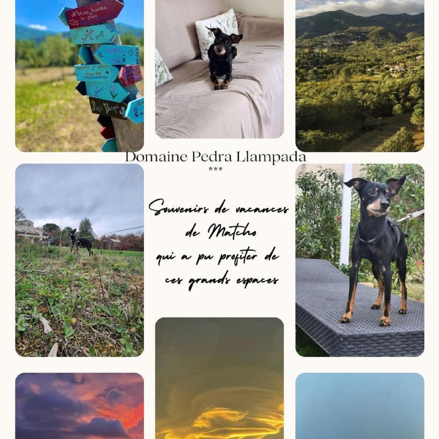 Domaine Pedra Llampada Gite Mer Villelongue-dels-Monts Eksteriør bilde